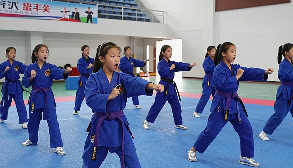 Võ thuật Việt Nam và lỗi chọn khung: phân tích sai từ bước phân loại