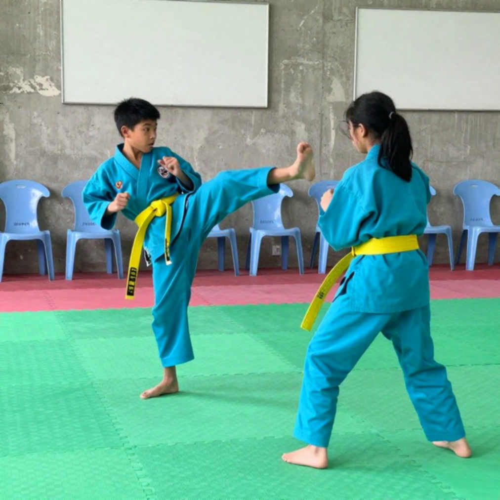 Phát súng tại Sofia: Một chiếc nút bị rút khỏi hệ thống taekwondo